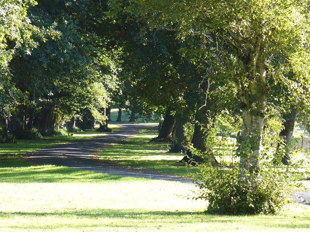 Oak Lane Lodge Hamilton Exteriör bild