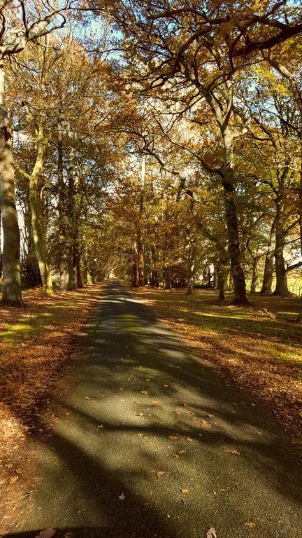Oak Lane Lodge Hamilton Exteriör bild