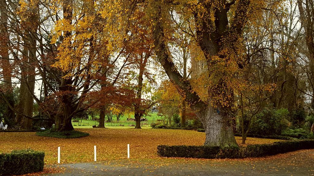 Oak Lane Lodge Hamilton Exteriör bild
