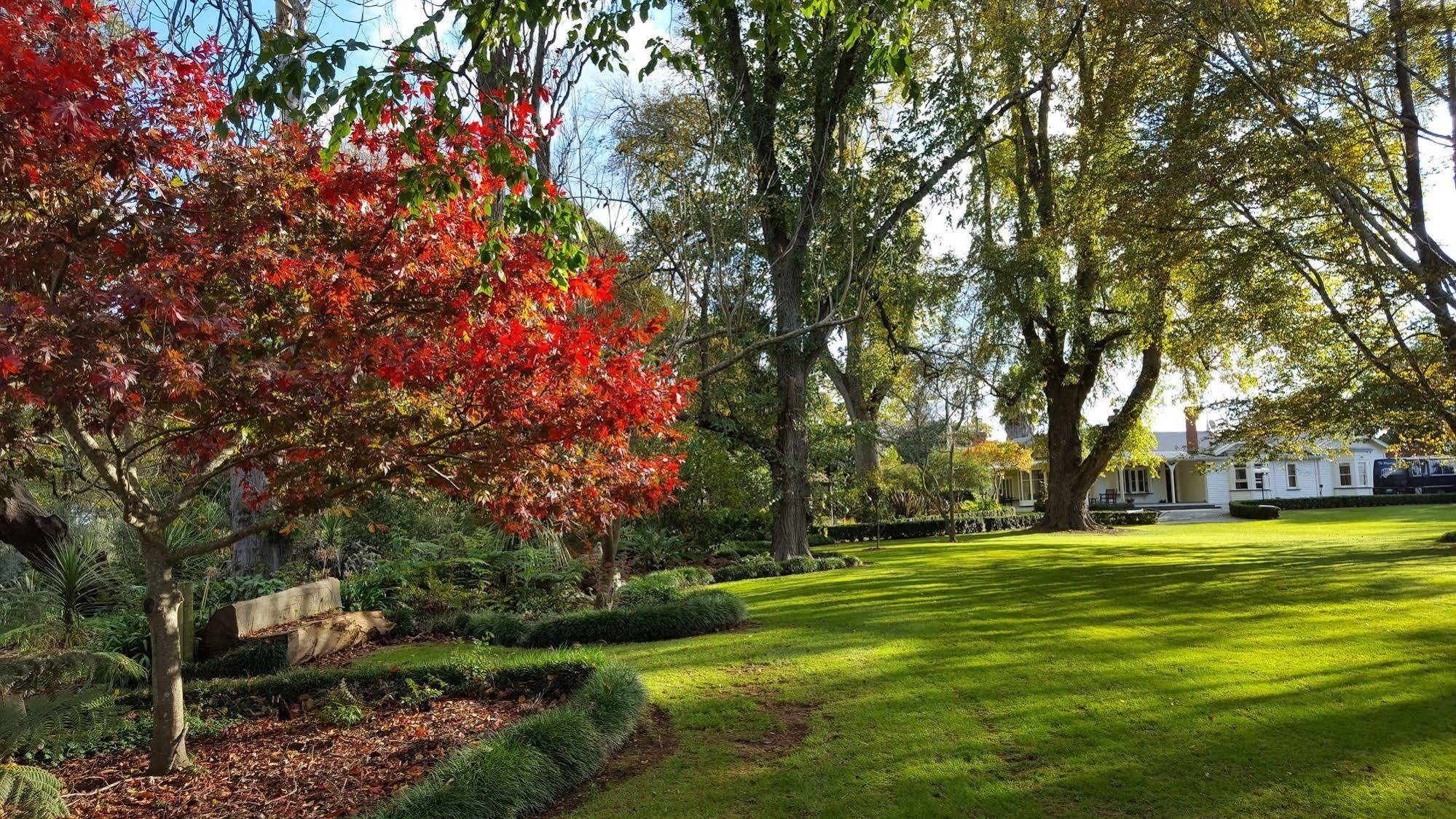 Oak Lane Lodge Hamilton Exteriör bild